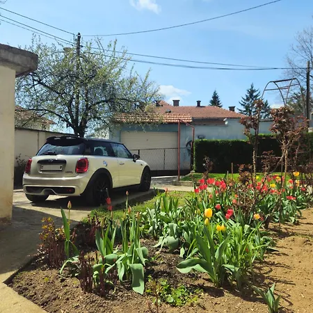 Jutro With Free Private Parking-garage Sarajevo